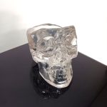 Tempat Penyimpanan Tengkorak (Cranium) Bening
